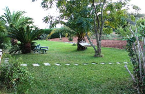 Vecchio Ulivo - Foto 21