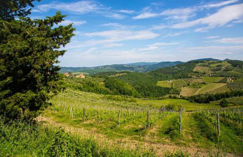 Chiantissima, Tuscany - Foto 48