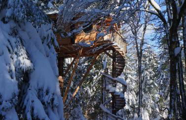 Cabanes des Volcans - Foto 36