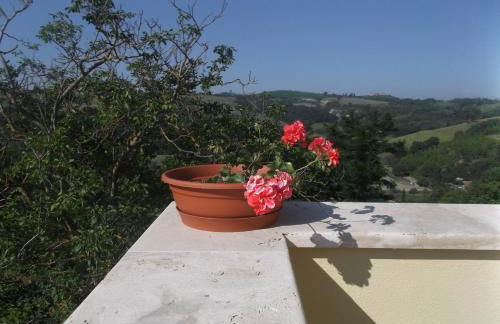 Agriturismo Dipinture - Foto 37