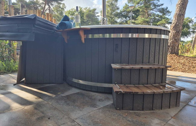 Casa Sallandia met Outdoor Wellness - Foto 33