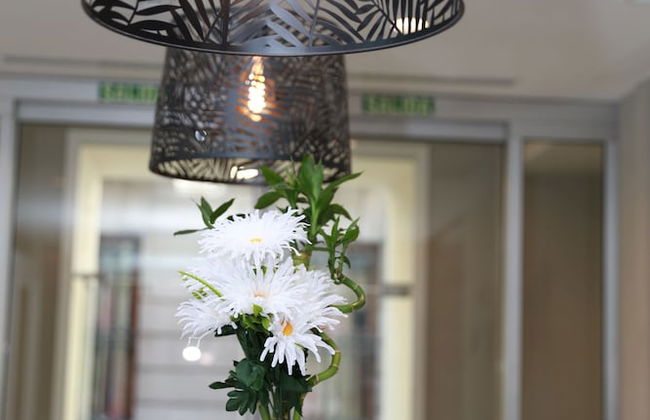 New Point Madrid Opera - Foto 62