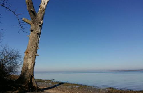 SeeStern Strandnahe Wohnung in Hohen Wieschendorf - Foto 37