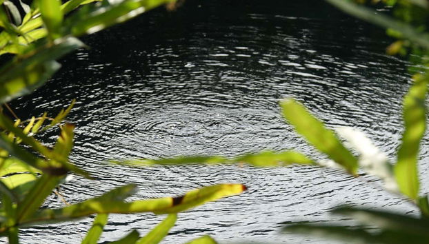 Excursión a las termas El Volcán - Foto 4