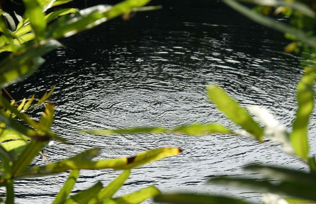Excursión a las termas El Volcán - Foto 4