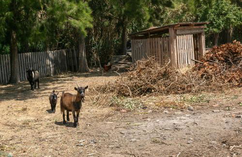 Villa Arneiro 1 - Foto 26