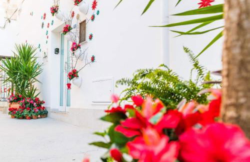 La Nghioscia - Foto 3