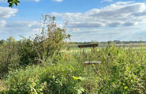 Mecklenbü mit Teich, Kamin, Sauna und Hotpott - Foto 6