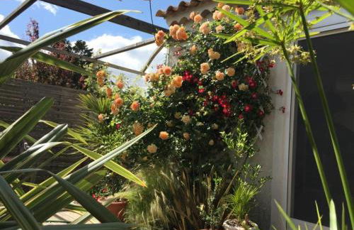 La Villa Vaihéré en Camargue, l'Hibiscus et le Magnolia - Foto 31
