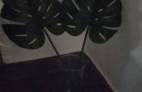 Ammouliani Villa PARADISE - Foto 13