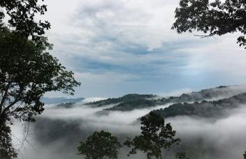 The Cypress Villa where luxury & nature meet - Foto 11