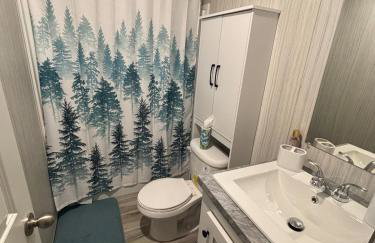 Entire Home in the Heart of Cherokee NC - Foto 15