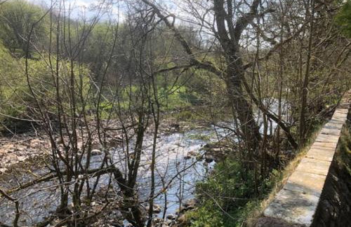 Unique Orchard Lodge for couples with hot tub - Photo 44