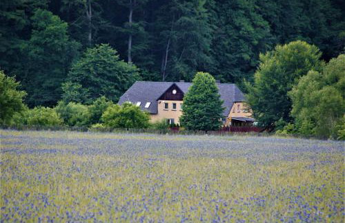 Apartament Pod Bukowym Lasem - Foto 28