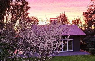 Casa no Bosque - Foto 6