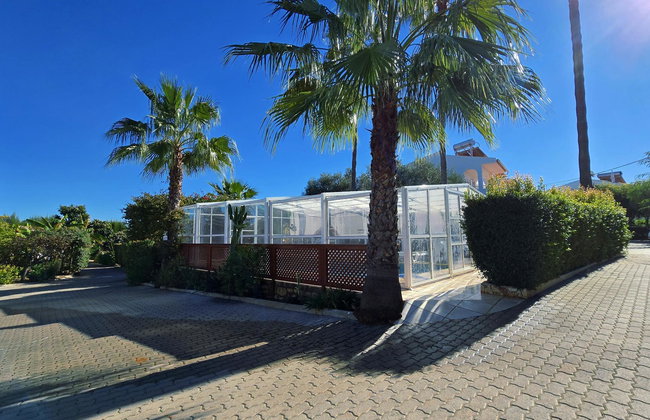 Flor da Laranja - Foto 41