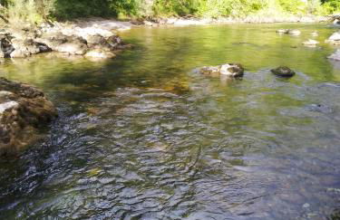 El Rinconin de Degu - Photo 17