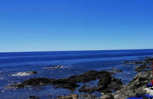 Pieds dans l'eau - La Villa Crique aux tortues - Foto 23