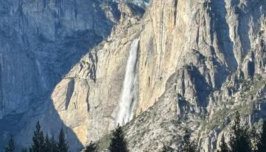 Cozy Cub Cabin, brand new home near Yosemite - Foto 3