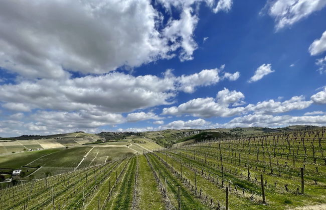 MiaClara Relais - Foto 68