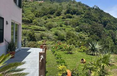 The Green Valley House - Photo 46