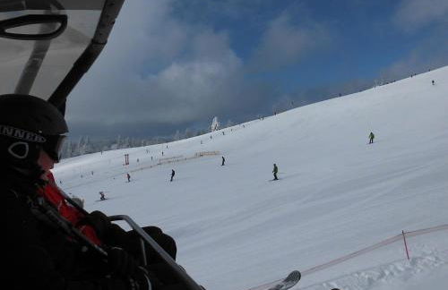 Steiert Panorama Apartments Todtnau - Foto 4