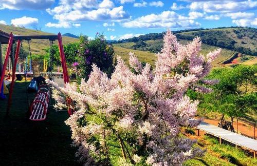 Sítio do Heryton - Photo 14