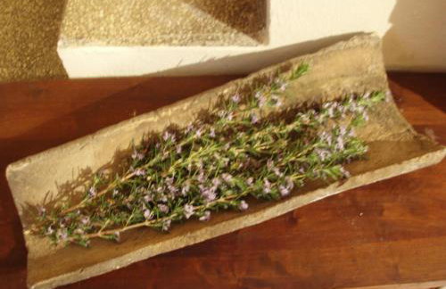 La Llicorella - Foto 16