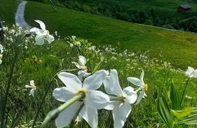 CASA VACANZA NIDO COLLETTO - Foto 27