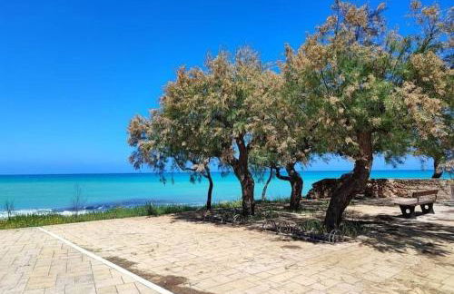 Appartamento a 80m dal mare Salento Puglia - Foto 23