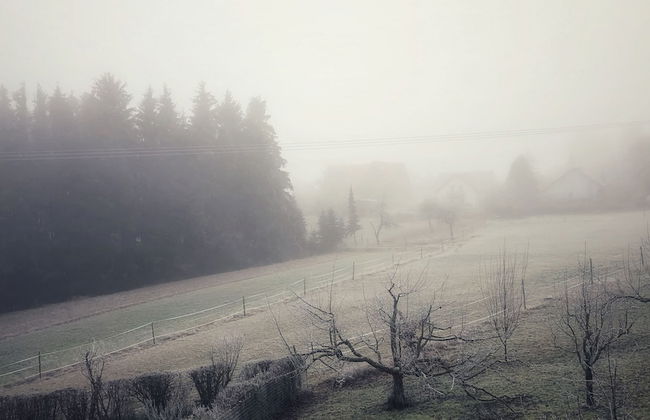 Ebnisee Apartments - Foto 34