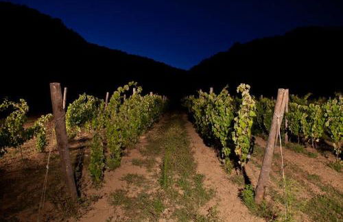 Cascina Formighezzo - Foto 47