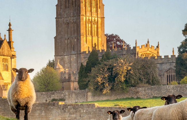 Day Trip to the Cotswolds - Photo 1