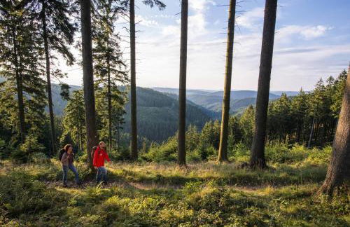Ferienwohnung zum Eiling - Foto 29