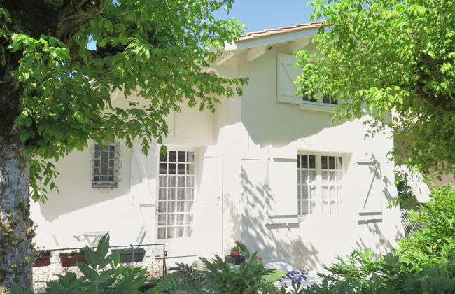 L'Andernosienne - Foto 20