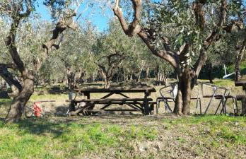 Agriturismo Cele - Foto 1