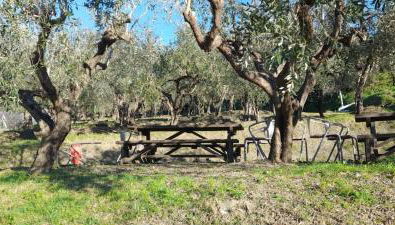 Agriturismo Cele - Foto 1