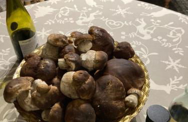 la grange T2 Centre Ville Jardin WIFI - Foto 23