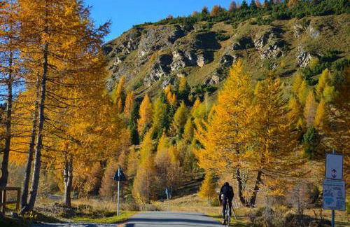 VIVI SERENO, uno stile si vita! - Foto 32