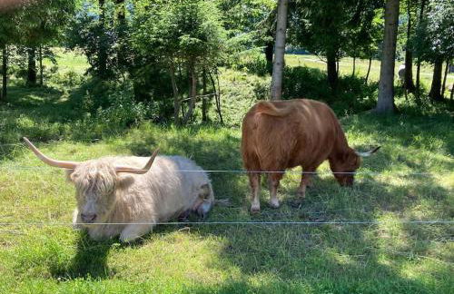 4 Star Maisonnette mit Kaiser Blick, Sauna, Schwimmbad - Foto 16