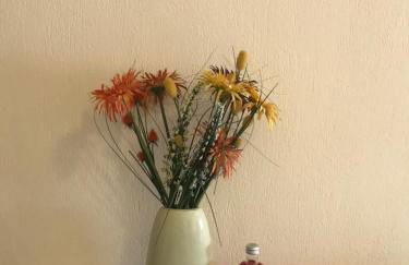 Melinas Home - Photo 16