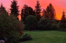 Sowi Dworek - Foto 53