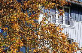 Ferienwohnung Rhön Natur - Foto 17