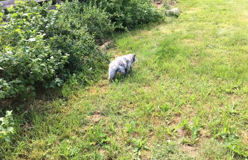 Ferienhaus zur Thusstrasse - Foto 14