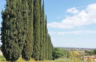 CasAlice Room & Breakfast - Foto 34