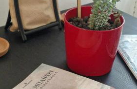 Kofinaki apartment 2 - Tychero Evros - Foto 11