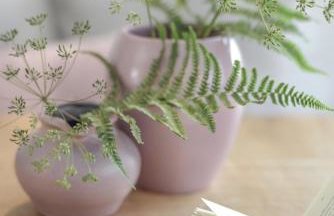 Am Renngraben 1 - Wohnen auf Zeit - Foto 31