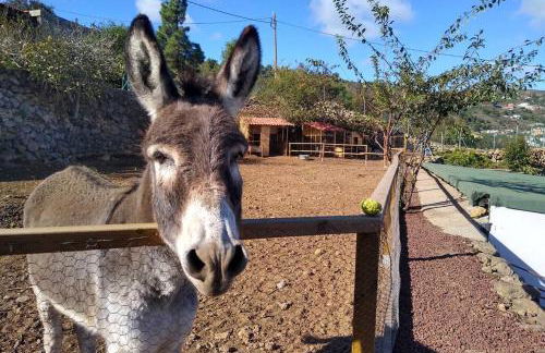 LA TAGORA Conect with the nature & relax - Foto 41