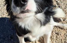 Villa Paquita - Foto 25