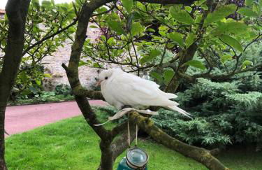 La Salicorne hébergement insolite - Foto 12